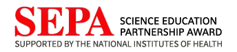 "SEPA" in large red serif font. To the right, "SCIENCE EDUCATION PARTNERSHIP AWARD" in capital black letters. Stretching across the bottom of both text blocks are the words "SUPPORTED BY THE NATIONAL INSTITUTES OF HEALTH" in gray capital letters.
