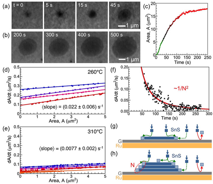 SnS growth mechanisms