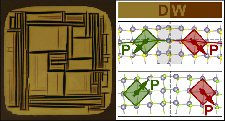 Ferroelectric SnS crystal and domain structures