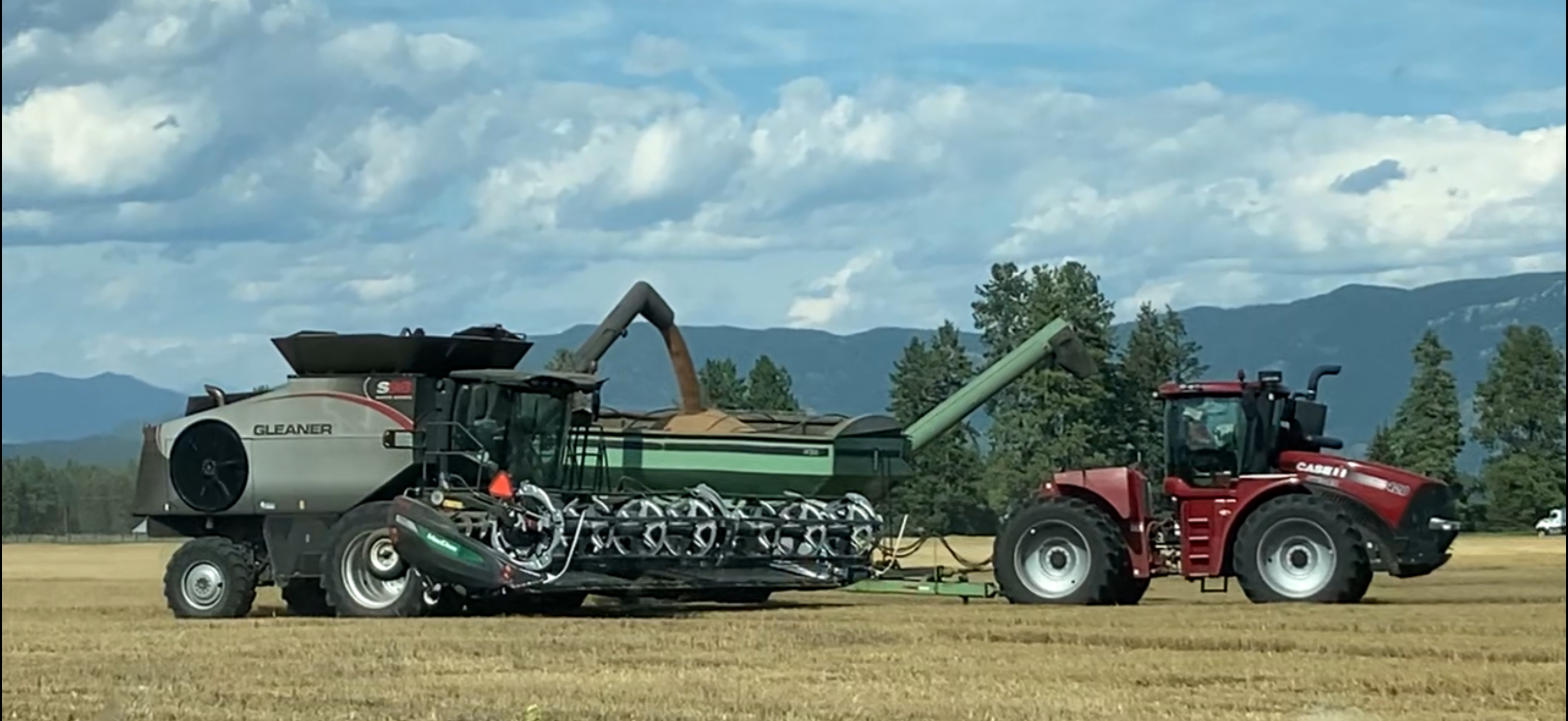 Photo of a combine harvesting wheat with mountains in the background.