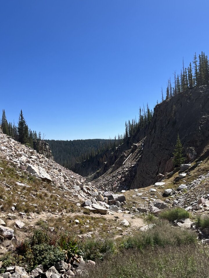 Medicine Bow National Forest, in Wyoming
