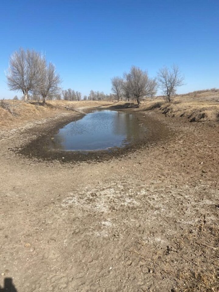 Dried up pond in KS