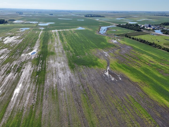 Wet fields in northeastern South Dakota