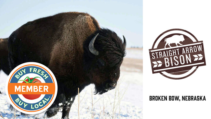 Straight Arrow Bison Spotlight Photo of a bison