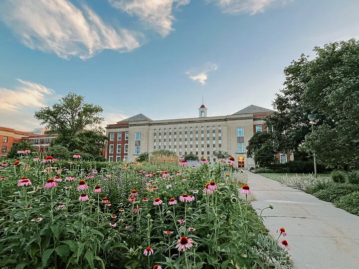 Flowers blooming with Love Library in the background